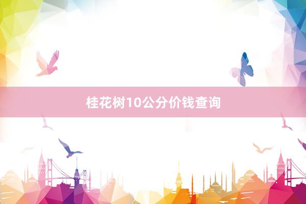 桂花树10公分价钱查询