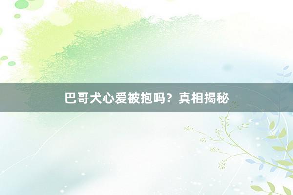巴哥犬心爱被抱吗？真相揭秘